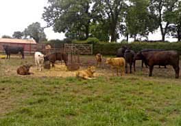 Moor Farm